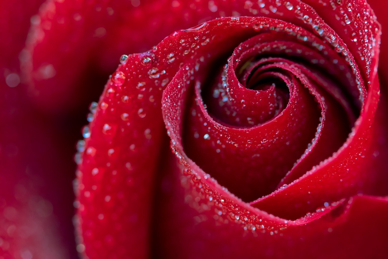 Small Signs, Big Warmth: The Art of Pebbling in Modern Romance