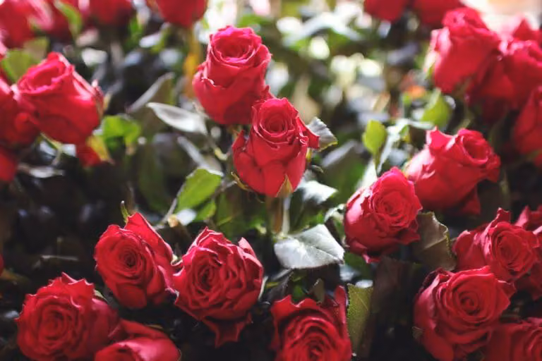 Age Gaps in Romance: How to Think About Differences Without the Math