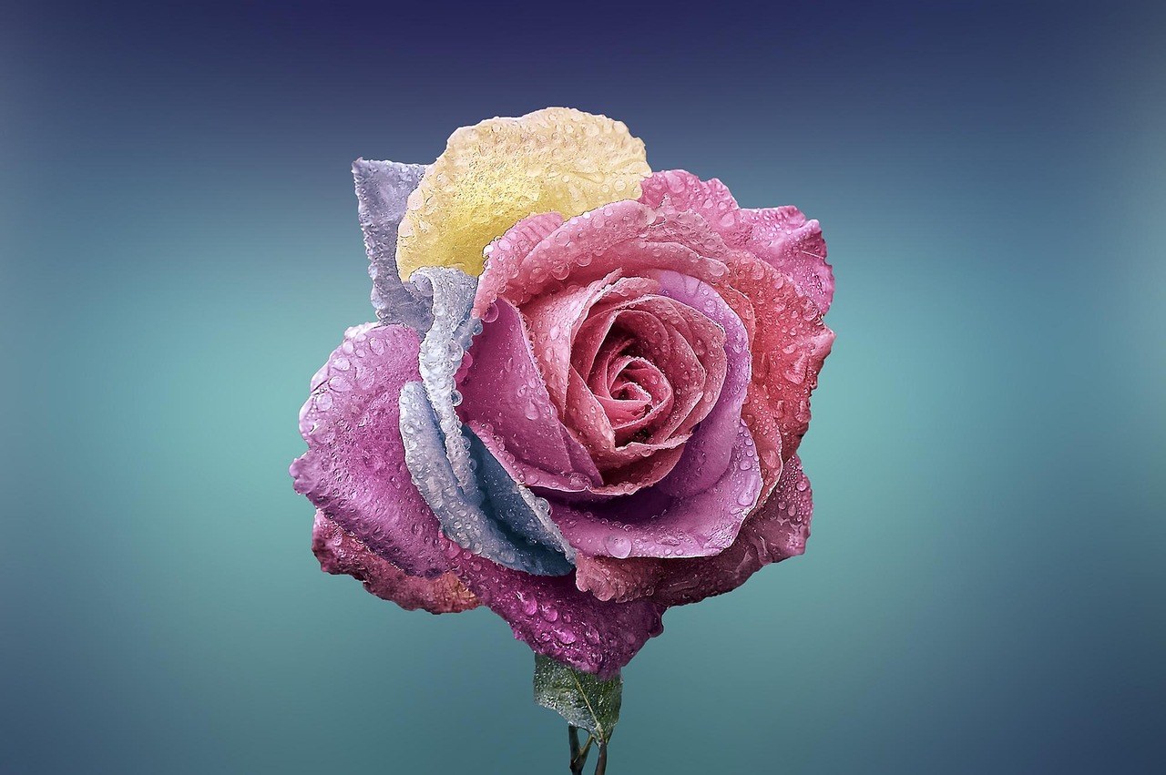 Romance on a Shoestring: Creative Dates That Favor Heart Over Cash