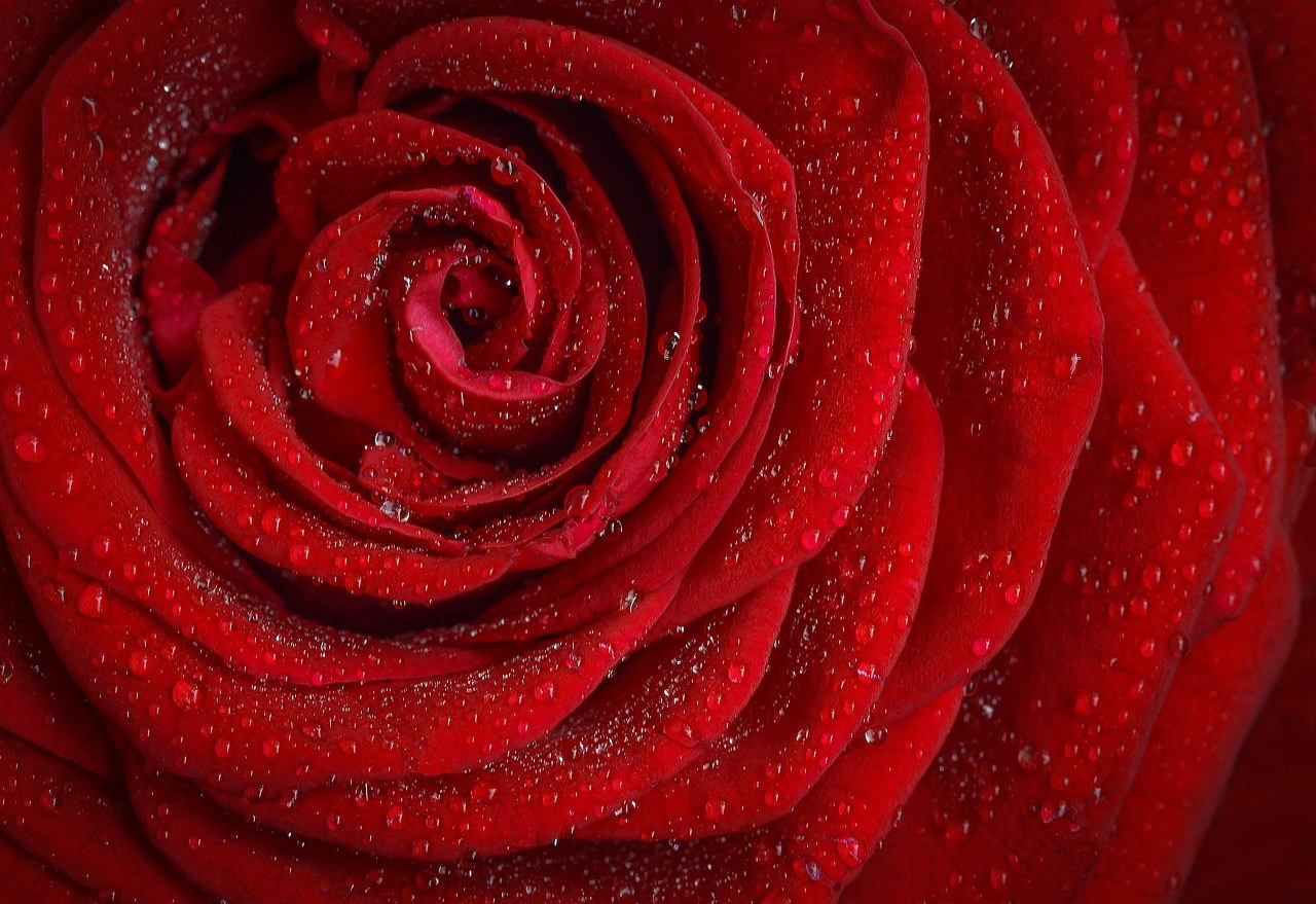 Fresh Conversation Starters to Map Your Romantic Path