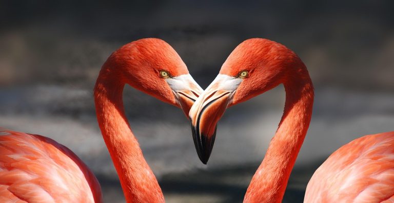 Fresh and Romantic Date Ideas Couples Can Add to Their Checklist