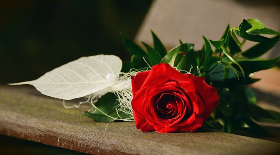 Beyond Fairy Tales: Understanding the Hopeless Romantic Mindset