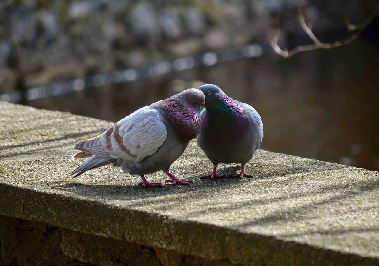 After Love Ends, Longing Begins - Triggers That Pull Them Back