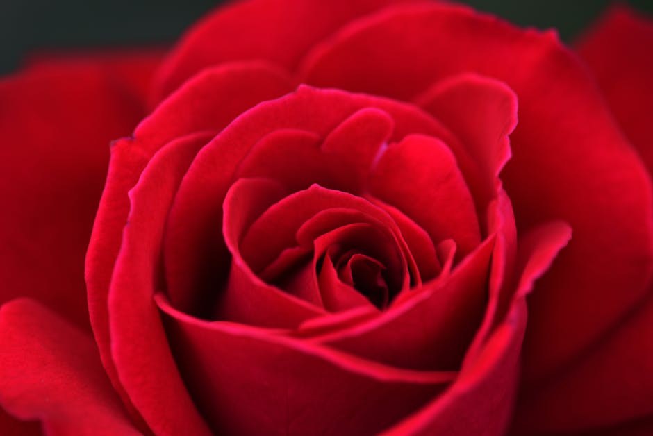 Intense Romance Unpacked: Signs, Power, and Quiet Fears