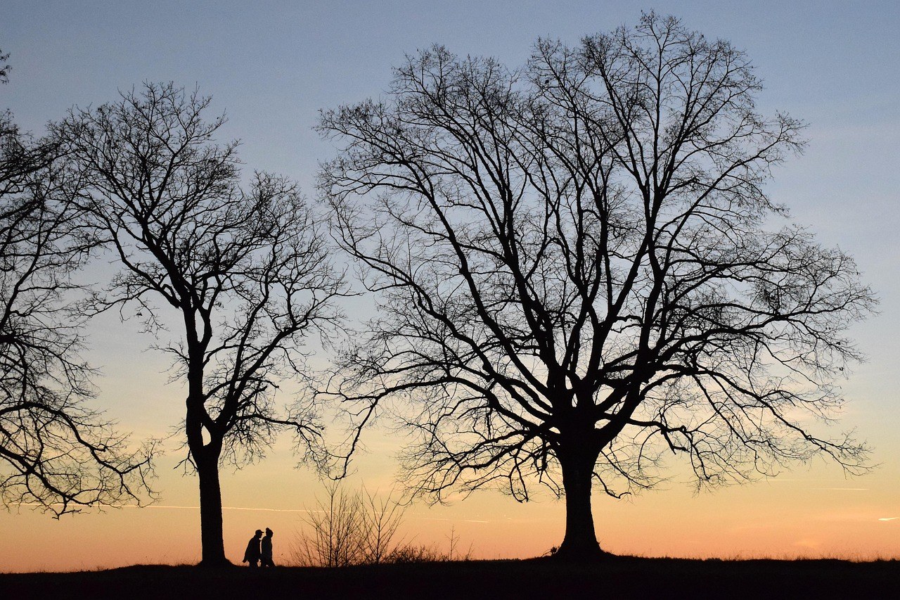 When Hurt Lingers: Recognizing Relationship Resentment and Rebuilding