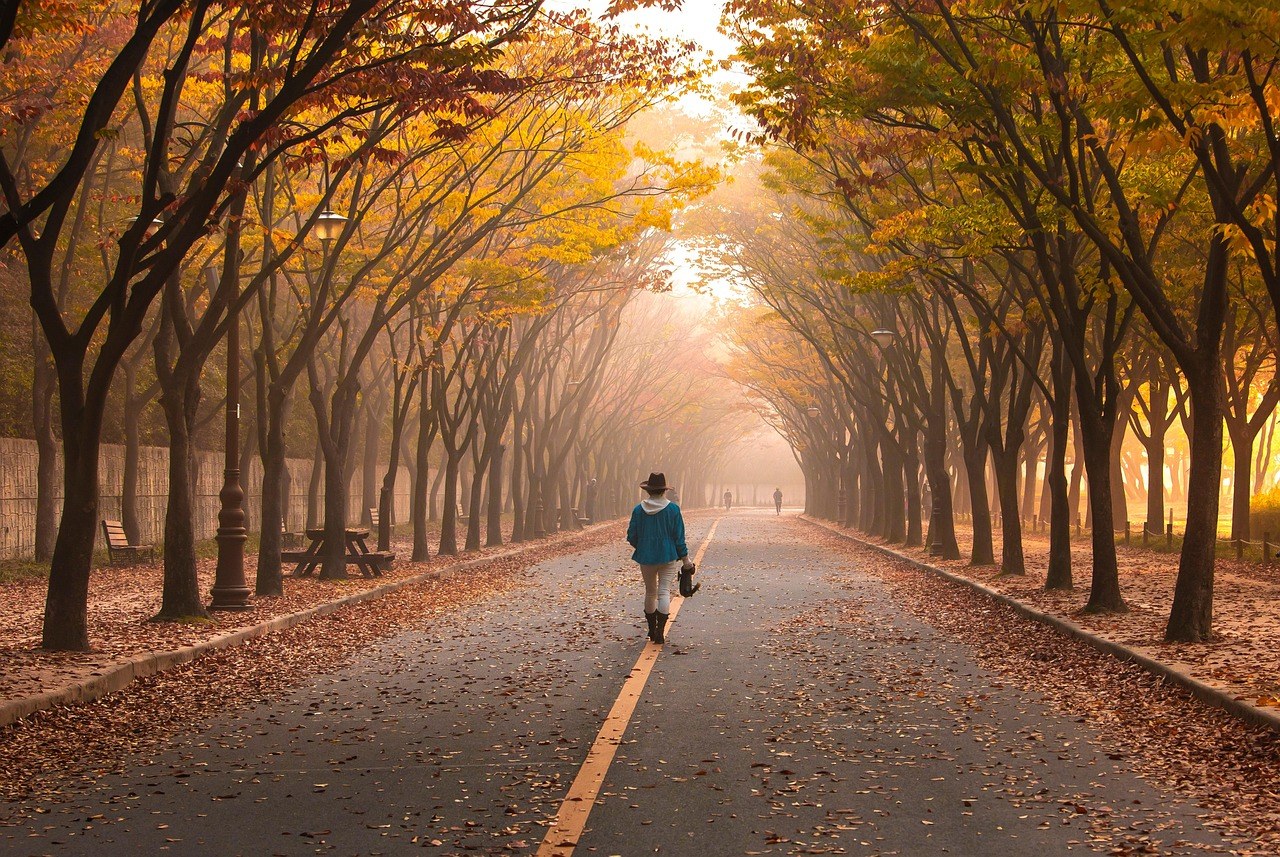 When Love Meets Timing - Deciding the Right Moment to Marry