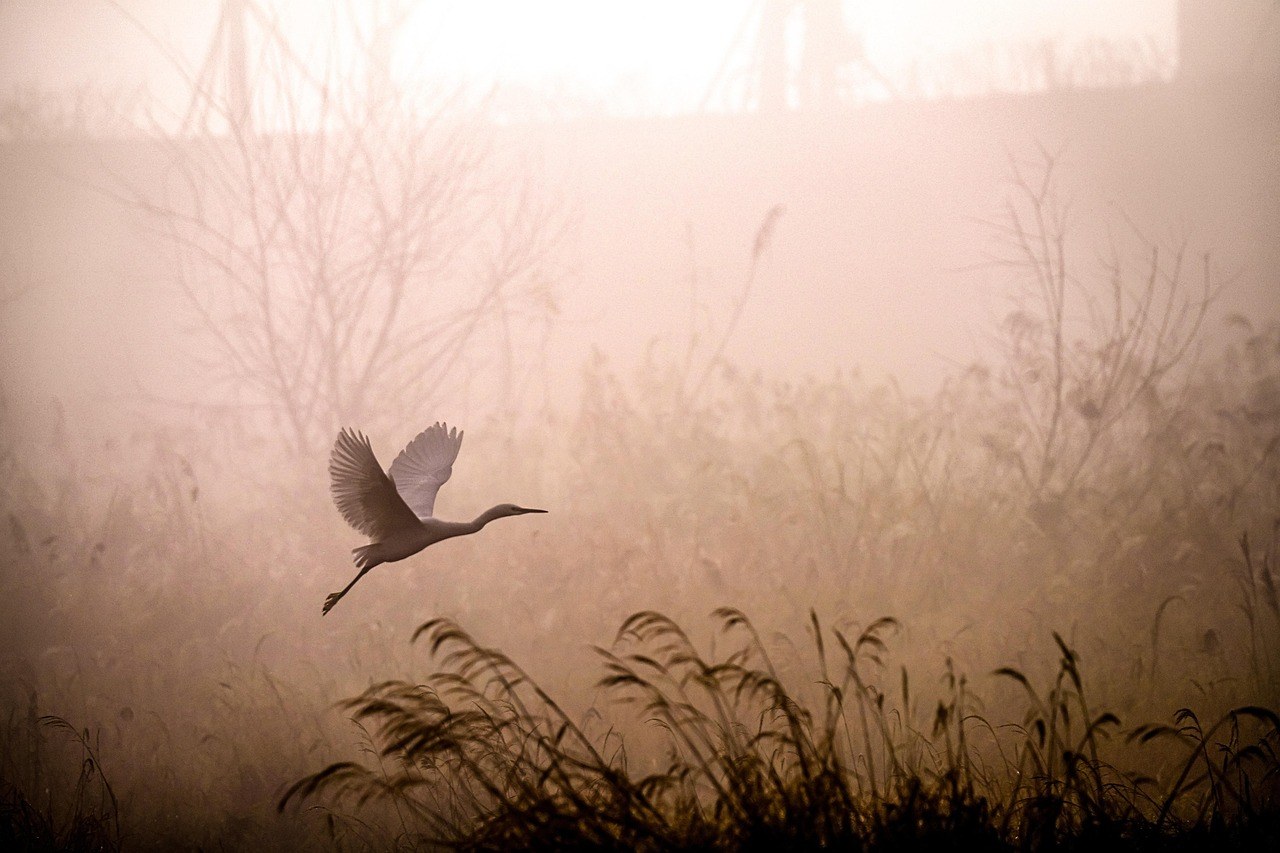 When Love Drains You: Choosing Your Peace