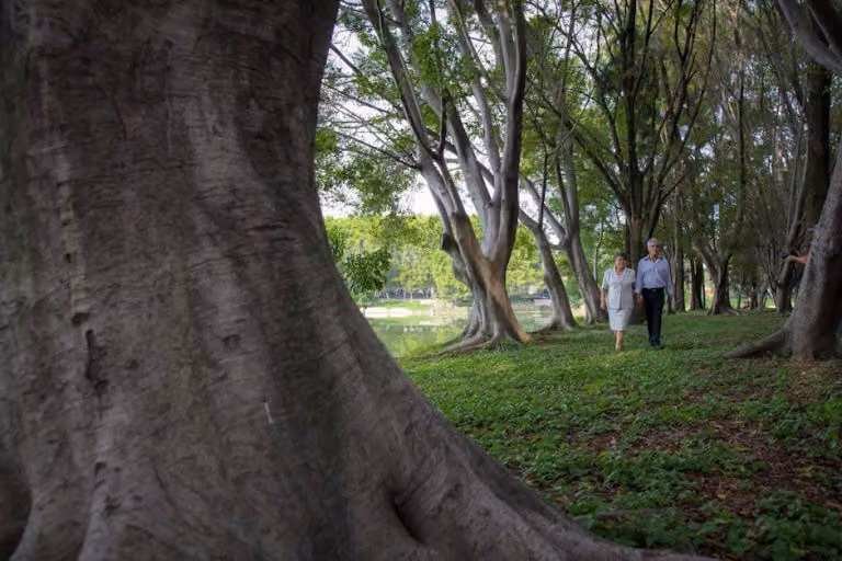 From Rushes to Ruptures: Making Sense of a Love-Hate Relationship