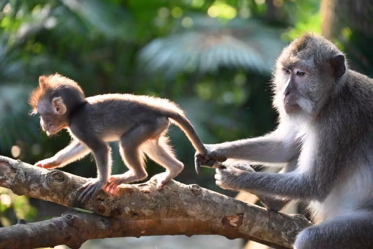 Heartfelt Lines for Long-Distance Love Across Pages, Screens, and Time