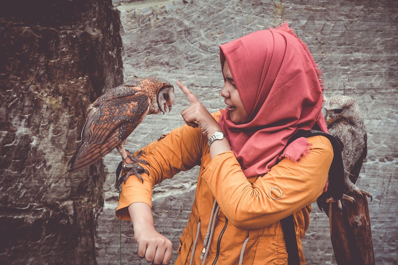 From Turbulence to Trust: Ways to Reconnect as Partners