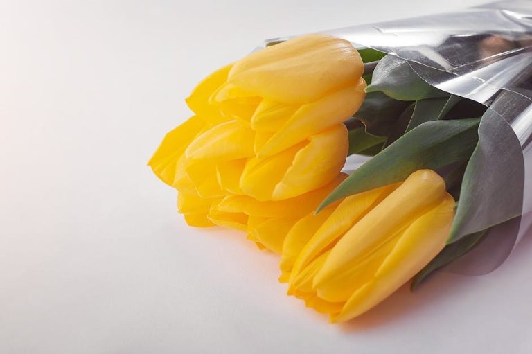 Quiet Traits That Shape a Lasting Marriage