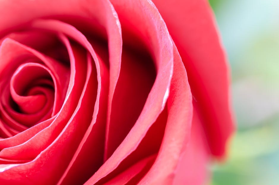 Timing Intimacy Without Turning It Into A Transaction