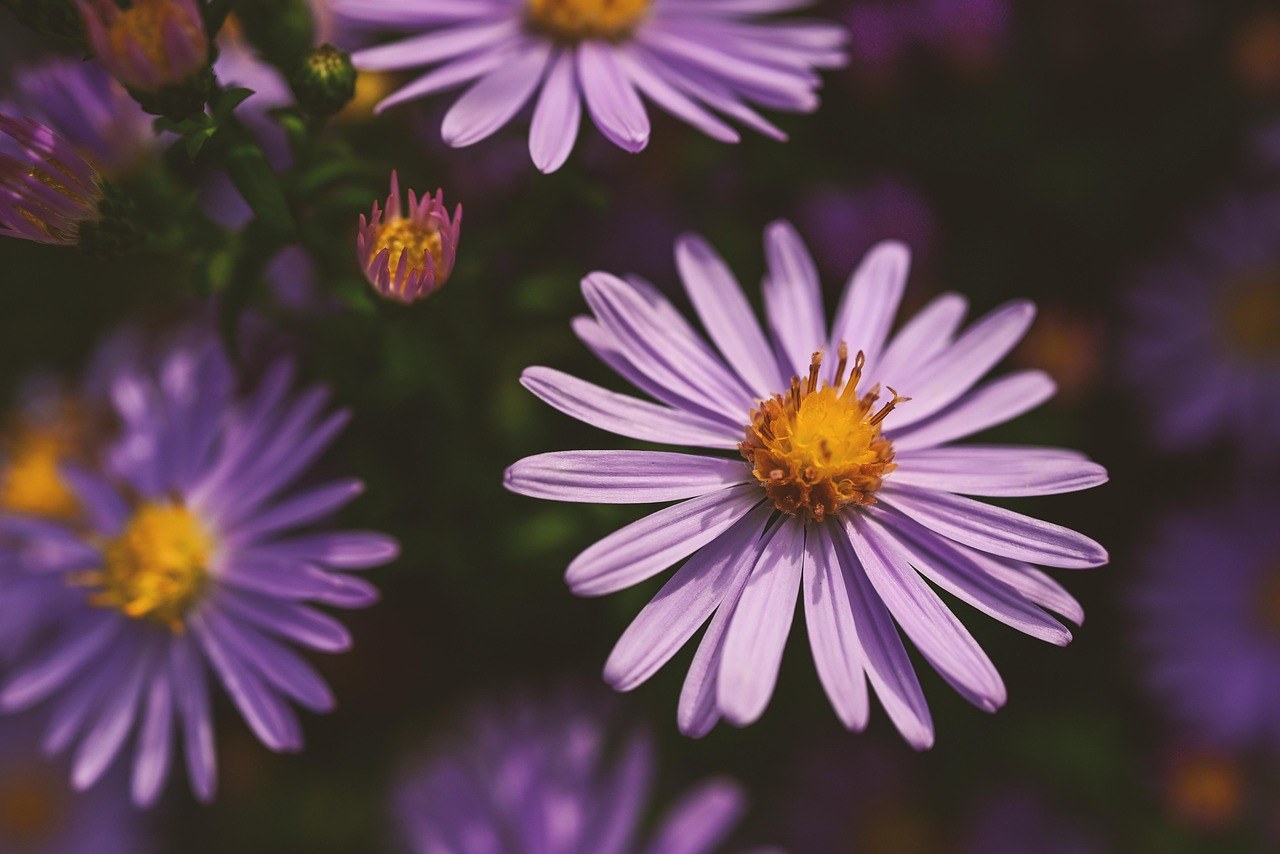 Stand Out Online: Crafting a Memorable Dating Profile