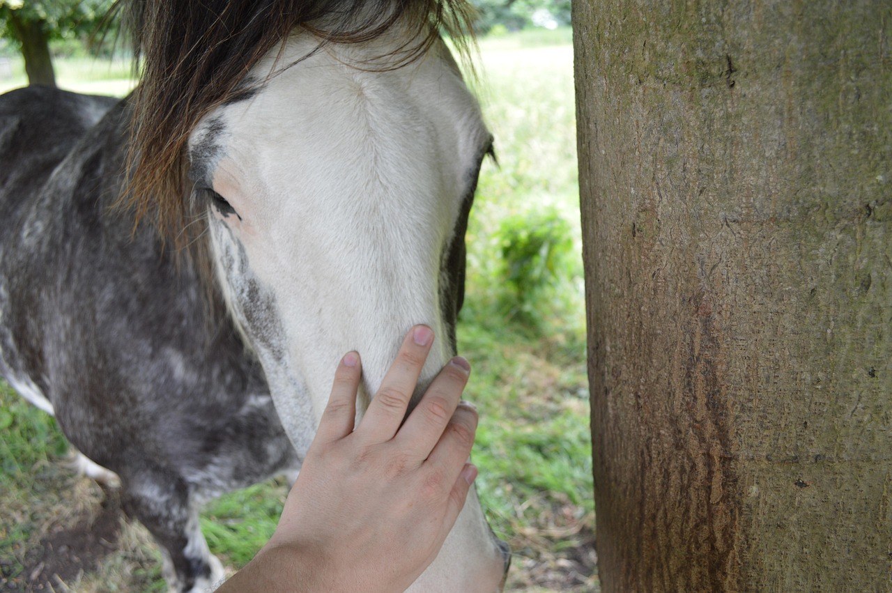 When a Casual Partner Starts Caring: How to Tell It’s More Than a Fling