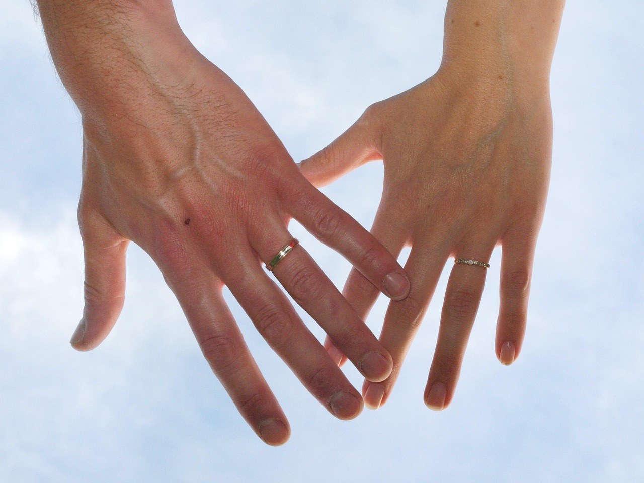 Choosing Your Path: Life Solo or Committed?