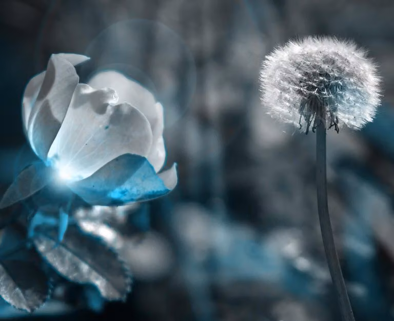 Breakup Advice That Helps You Heal Without Staying Angry