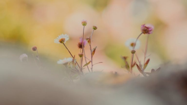 Quiet Hearts, Steady Love: A Gentle Guide for Partners of Introverts