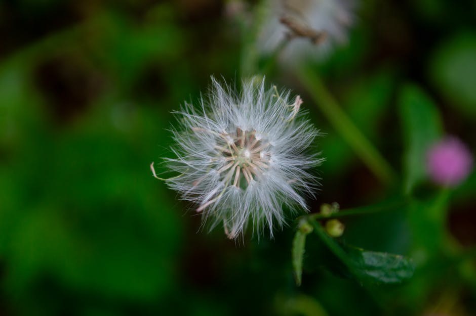 Unhurried Intimacy: A Gentle Guide to Sensual Pacing and Deep Connection