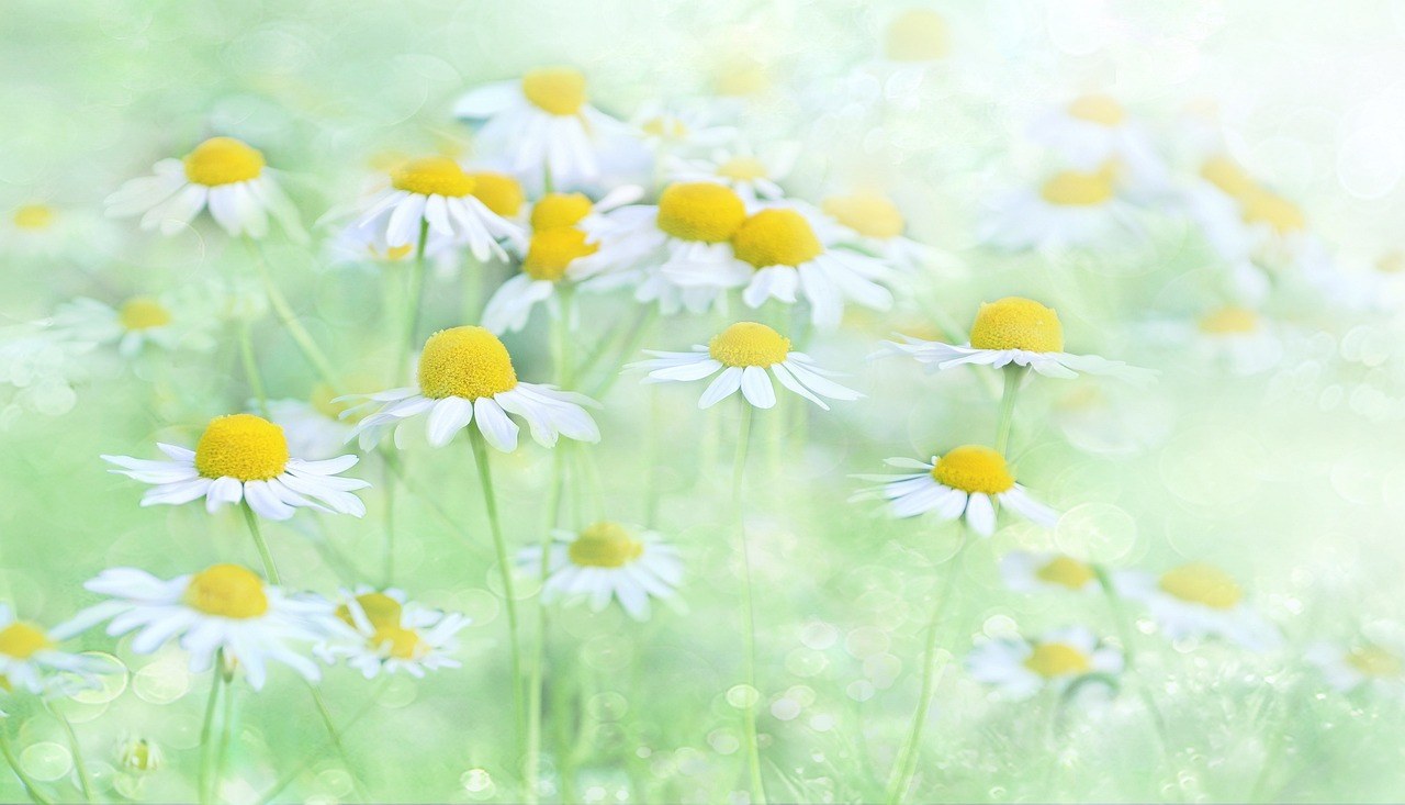 A Gentle Guide to Self-Pleasure for Curious Women