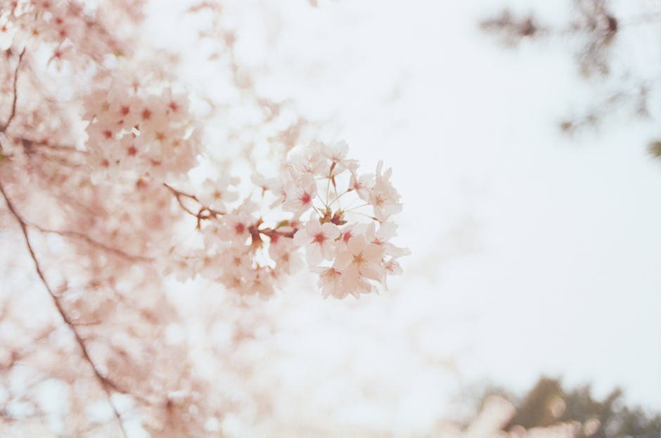 A Gentle Playbook for Encouraging a Partner to Seek Screening