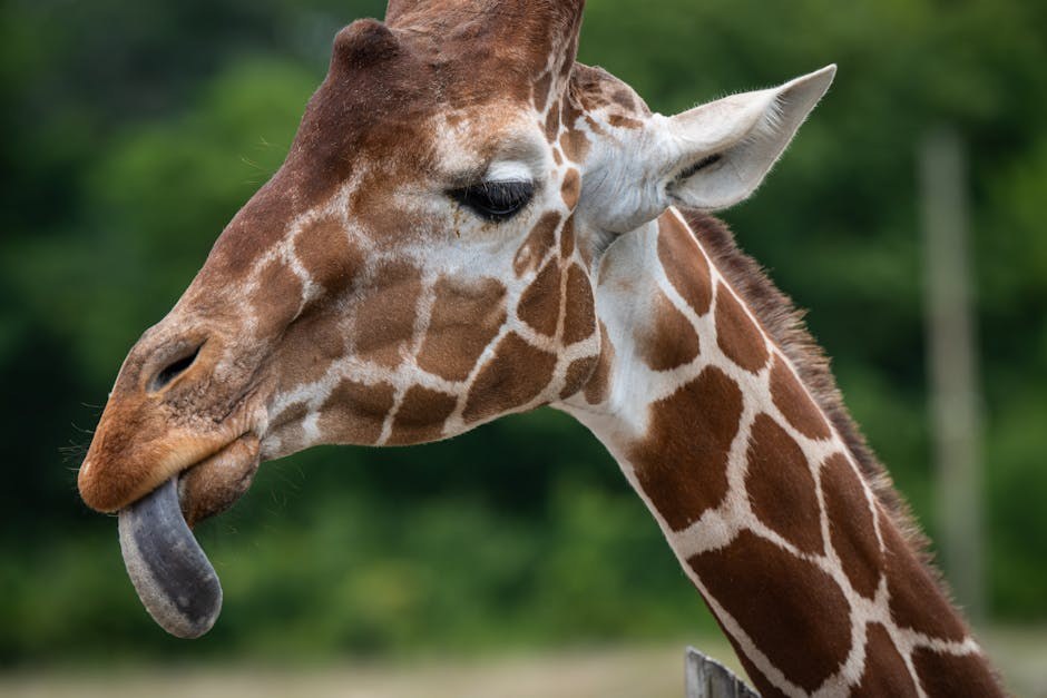 Gentle Moves That Turn a First Kiss Into a Moment You’ll Both Remember