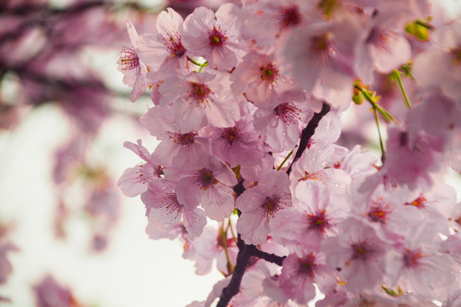 Orgasmic Meditation Unpacked - Practice, Purpose, and a Gentle How-To