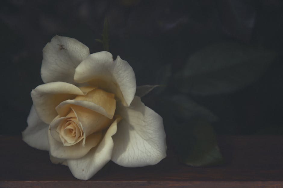 Quiet Hearts, Steady Love: A Gentle Guide for Partners of Introverts