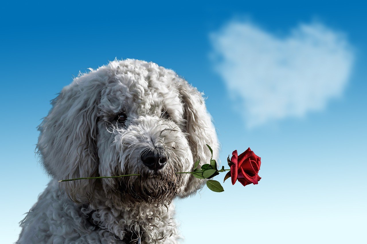 Magnetic Appeal: Ways to Attract Men Without Trying Too Hard