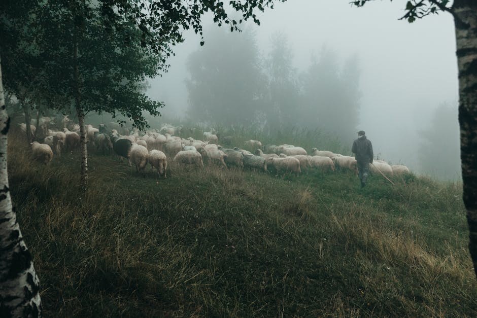 When He Picks Another: Hard Truths and a Kinder Path Forward