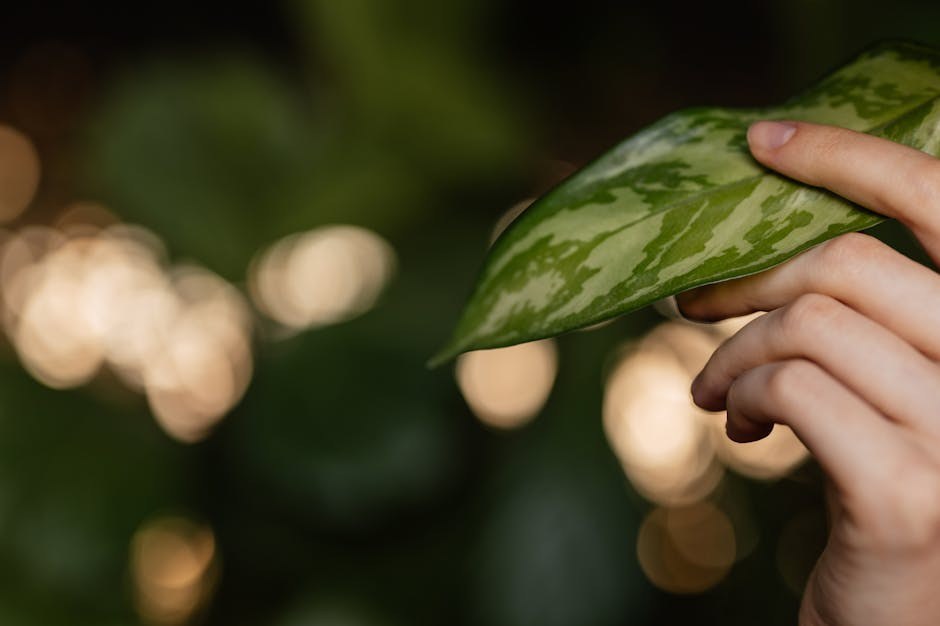 After the Halo Falls: What You Learn When a Dream Partner Becomes an Ex