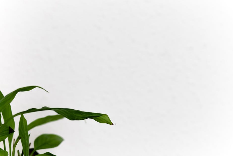 Secrets for Deeper Pleasure and Lasting Desire