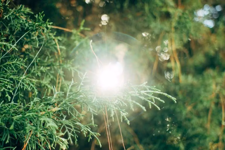 Clues Your Past Relationship Is Quietly Sabotaging New Love
