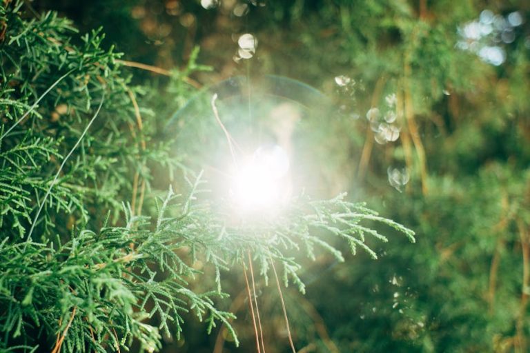 Clues Your Past Relationship Is Quietly Sabotaging New Love