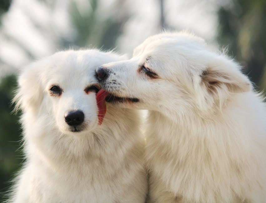 Ease Into Love Without Rushing - A Practical Guide to Pace