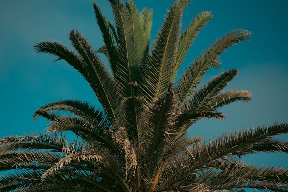 Turn Up the Heat: A Steamy Guide to Deep, Connected Intimacy