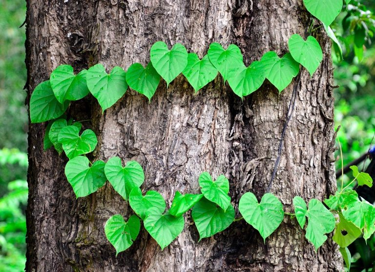 Making Space For Us: Practical Ways to Share Your Days