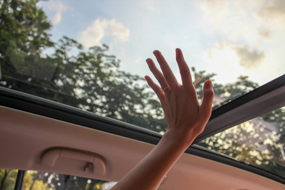 Broadcast Your Comeback: Show You’re Open to New Connections