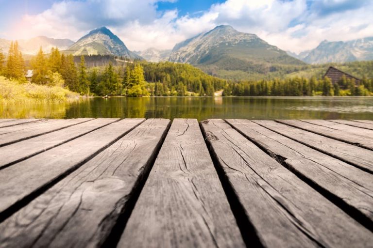 Steer Clear of the Queen of Chaos: Traits and Tactics to Keep Your Peace