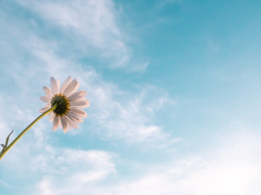 Fresh Paths to Discover Your People - from Daily Habits to Handy Apps