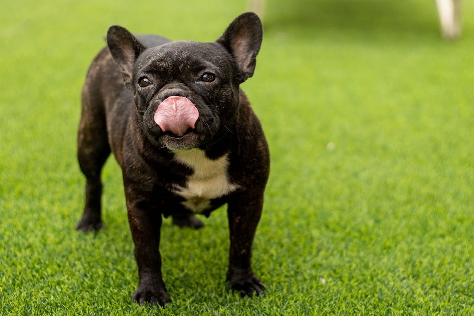 Playful Charm That Lingers: How to Tease Without Overplaying It