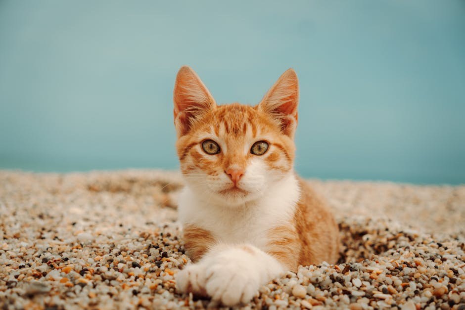 Playful Pet Names and Emoji-Filled Entries for Your Boyfriend