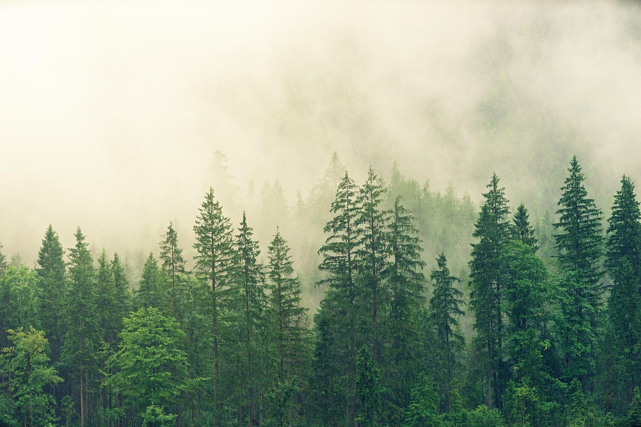 Keeping Your Heart in Neutral: How to Stay Detached