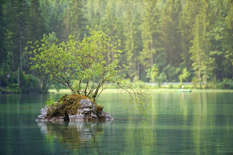 Keeping Your Heart in Neutral: How to Stay Detached