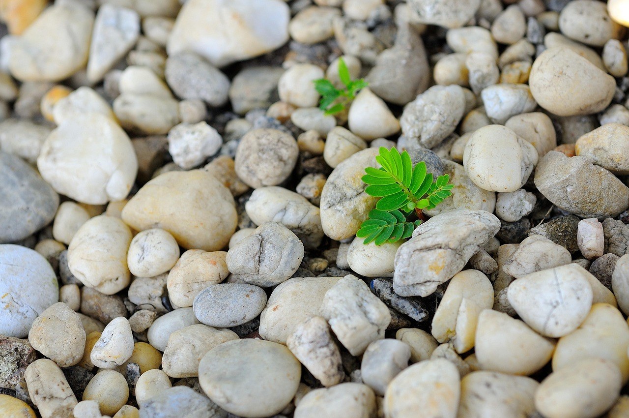 Lessons of the Heart: A Classroom Crush That Grew Up