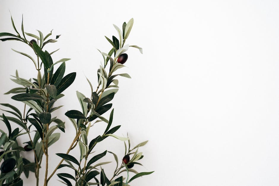 Fresh Ways to Rekindle Desire When Intimacy Feels Stale