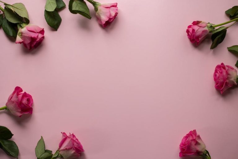 Openers That Spark Replies on Tinder, From First Match to Real Date
