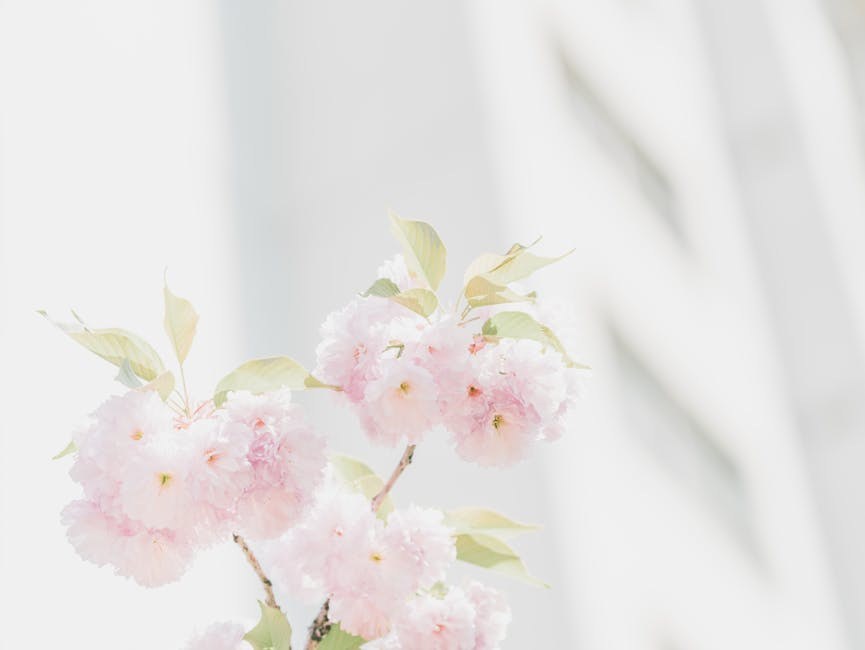 Bumble or Tinder: Clues, Trade-offs, and How to Choose What Suits You