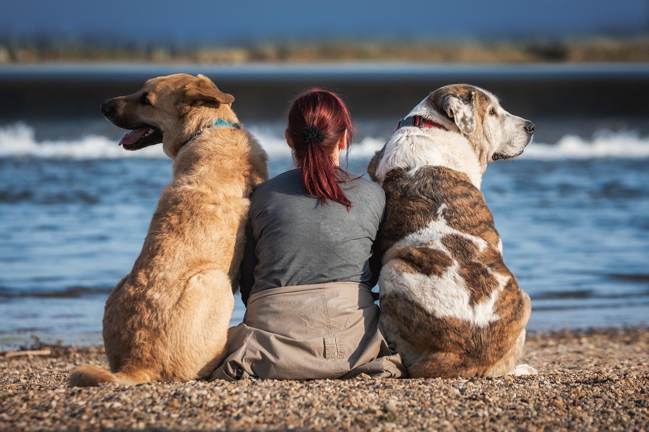 Caught at a Crossroads in Love: How to Select the Partner Who Truly Fits