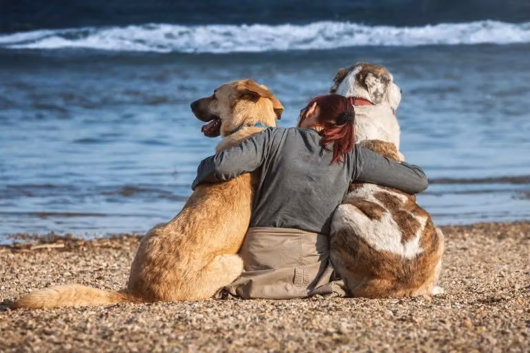 Caught at a Crossroads in Love: How to Select the Partner Who Truly Fits