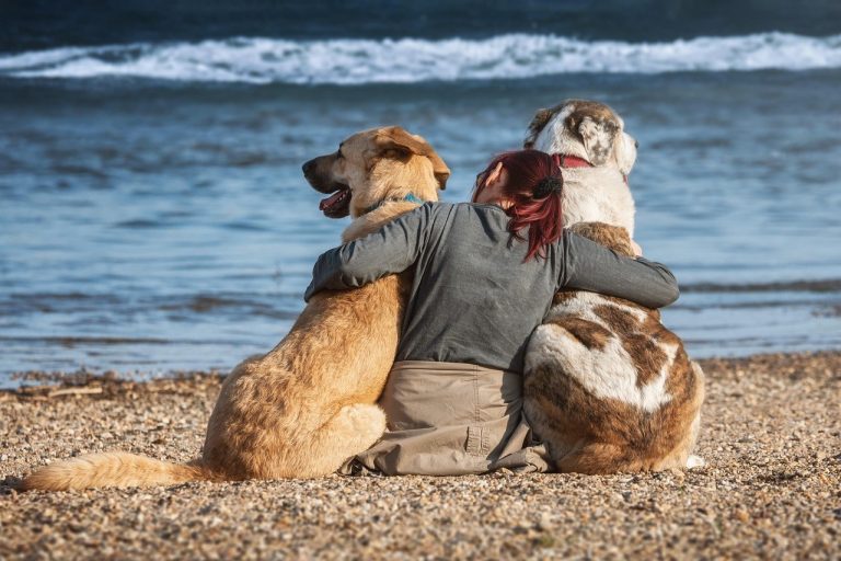 Caught at a Crossroads in Love: How to Select the Partner Who Truly Fits